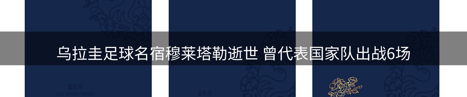 平台资讯