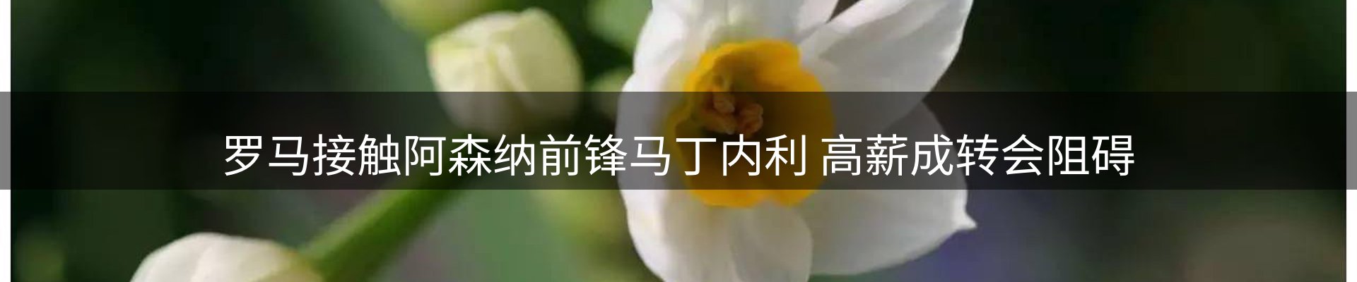 平台资讯