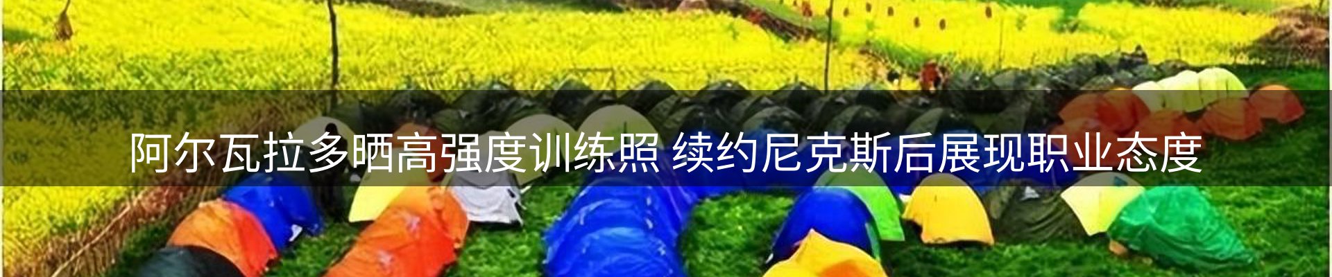 平台资讯
